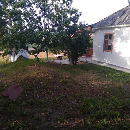Villa Соколине Гніздо Dmitrenki Exterior foto