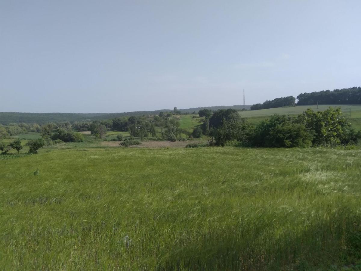 Villa Соколине Гніздо Dmitrenki Exterior foto