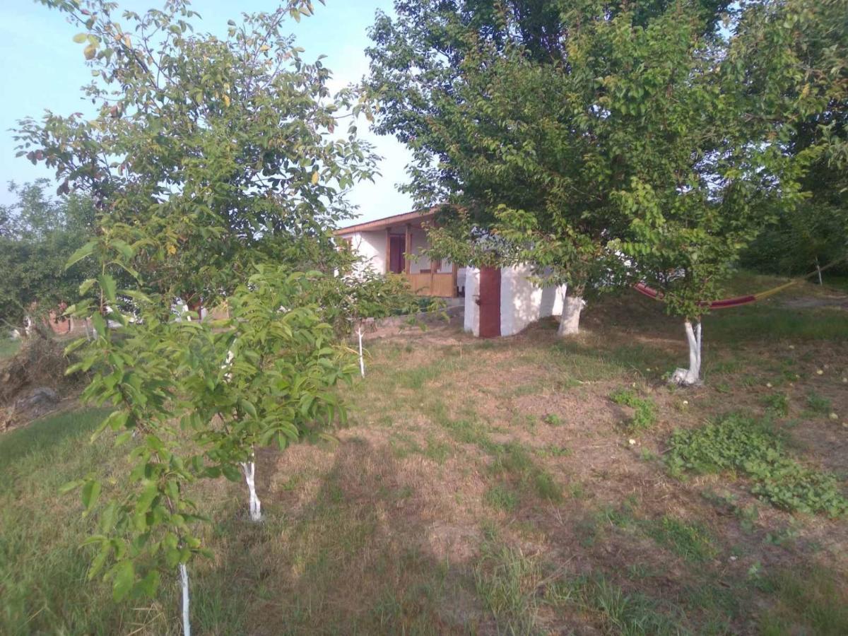 Villa Соколине Гніздо Dmitrenki Exterior foto